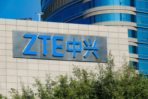 會員動態(tài) 會員服務 中國電子商會