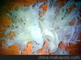海銀耳 打造高品質(zhì)水產(chǎn)品供應(yīng)鏈——張春發(fā)個(gè)體經(jīng)營(yíng)的專業(yè)選擇
